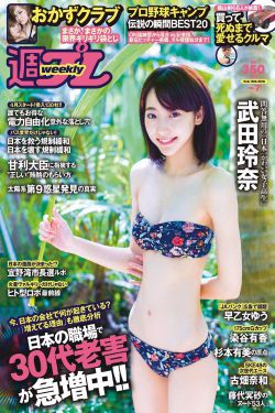 我的岳父会武术 电视剧
